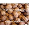Natural Thin skin organic Walnuts in Shell