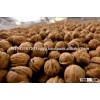 Walnuts