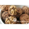 chinese bulk walnut in shell