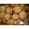 quality Walnut in shell and Without Shell