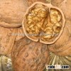 Walnut kernel
