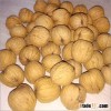 grade A walnut kernels/walnut without shell with high protein18mm-24mm
