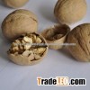 Walnuts in Shell Halves