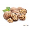 grade A walnut kernels,walnut without shell with high protein18mm-24mm