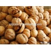 walnuts for sale/sweet walnut halves in light color