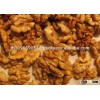 Natural Walnut Kernel for sale