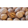 AAA Grade Quality wholesale walnuts