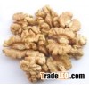 Walnut Kernel Light Amber Broken For Sale
