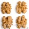 Walnut price china/ walnut buyers / walnut without shell