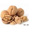 High Quality Organic Shelled Walnuts, EU Certified!