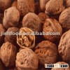 walnut in shell