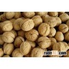 Walnut & Walnut Kernel for sale, New crop
