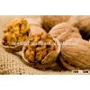 walnut kernels exporter
