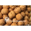 best quality inshelled walnuts manufacturer