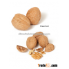 2015 New Walnuts