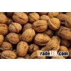 Walnuts 40% Discount