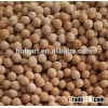 hot sale organic walnuts in shell