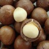 Top Quality Almond Nuts, Cashew Nuts and Walnuts 2016 New crop