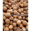 2012 in shell walnut