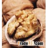 Walnuts Thailand
