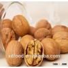 Thin skin common Walnuts in Shell,walnuts in dubai,walnut in vietnam,whole walnuts in shell