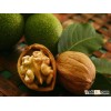 Walnuts
