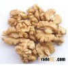 Walnut Kernel