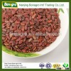 red watermelon seeds supplier