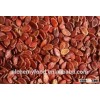rigin from Chinese largest planting base red watermelon seeds
