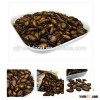 Hot sale melon seeds from Chinese factory