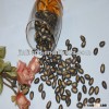 Dried fresh black melon seed 8cm for snacks