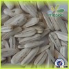 Different types of seeds of sunflower white
