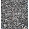 Sunflower seeds which are rich in iron and low in saturated fat.