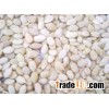 Hulled WaterMelon seeds