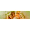 Best Quality Watermelon Seeds