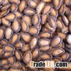 Hybrid Premium Quality Grade A Melon Seeds