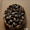 watermelon seeds sale Fresh Seed Black Watermelon Seed Bulk Packaging