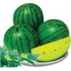 Small phoenix yellow flesh watermelon hybrid seed