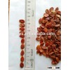 2015 crop red watermelon seeds