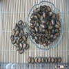 Chinese Delicious Wholesale Black Watermelon Seed