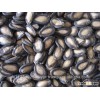 Watermelon Seeds 10~35kg/Fruit..