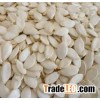peeled and ground melon seeds- egusi