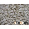 Melon Seed Kernels