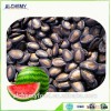 China supplier raw watermelon seeds