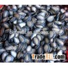 Supply Chinese Roasted black watermelon seed with good flavor