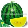 Yellow Ice-cream planting watermelon hybrid seed