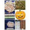 2014 crop Pumpkin Seeds, Snow White, Shine Skin pumpkin seeds, Unhulled pumpkin seeds; 11cm, 13cm