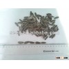 Delicious confectionery sunflower seed for sale