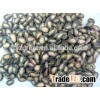 Chinese Roasted Black Watermelon seed with good quality for sale