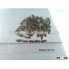 Chinese hybrid confectionery sunflower seed